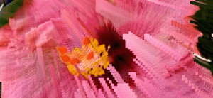Dataviews - Artist Series - Valeria Vicente L. - OP-Z App Videopak - Synthpaks
