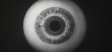 Load image into Gallery viewer, Freakshow - GIF Looper - Custom OP-Z App Videopak - Synthpaks