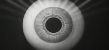 Load image into Gallery viewer, Freakshow - GIF Looper - Custom OP-Z App Videopak - Synthpaks