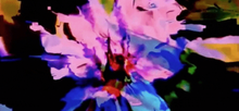 Load image into Gallery viewer, Dataviews - Artist Series - Valeria Vicente L. - OP-Z App Videopak - Synthpaks