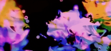 Load image into Gallery viewer, Dataviews - Artist Series - Valeria Vicente L. - OP-Z App Videopak - Synthpaks