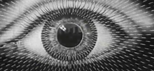 Load image into Gallery viewer, Freakshow - GIF Looper - Custom OP-Z App Videopak - Synthpaks