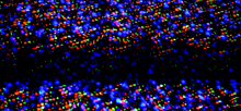 Load image into Gallery viewer, Light Years - Artist Series - Guillermo Olivera - OP-Z App Videopak - Synthpaks