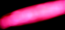 Load image into Gallery viewer, Light Years - Artist Series - Guillermo Olivera - OP-Z App Videopak - Synthpaks