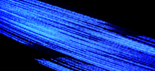 Load image into Gallery viewer, Light Years - Artist Series - Guillermo Olivera - OP-Z App Videopak - Synthpaks
